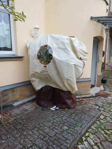 Customer photo review of Winterschutz für Kübelpflanzen "Jumbo Window" H 200 x B 240 cm
