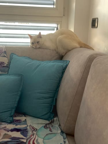 Rossana R. review of Ricarica Diffusore (48 ml) image 1 out of 1