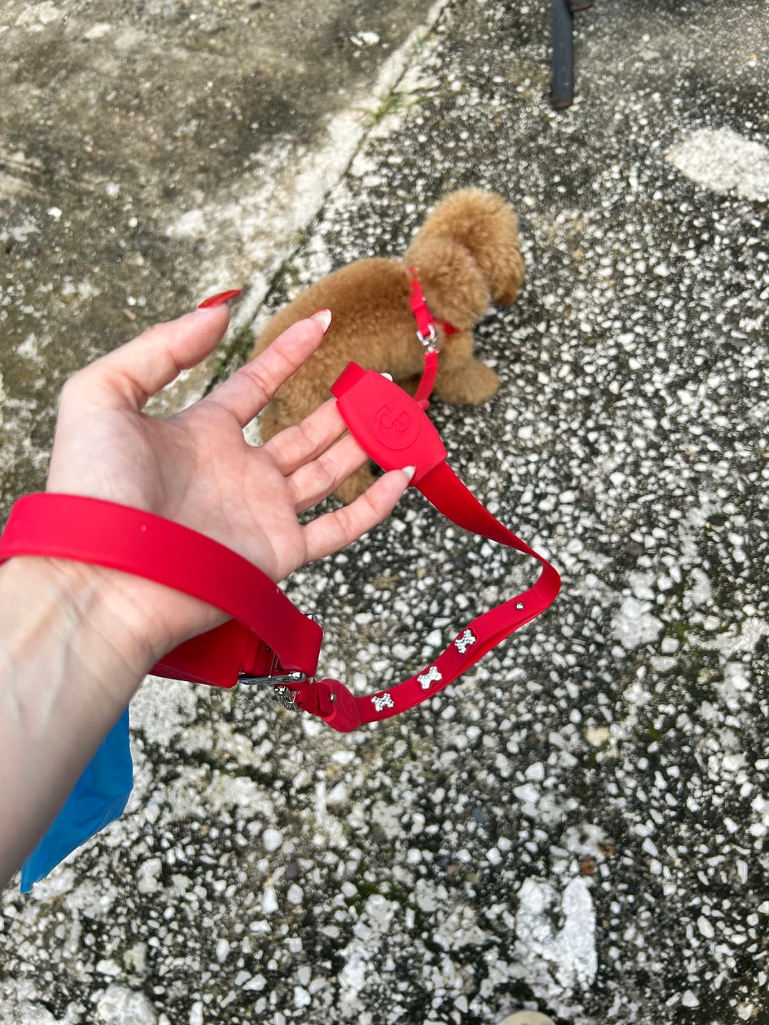 Customer photo review of Boneflex Harness Silver