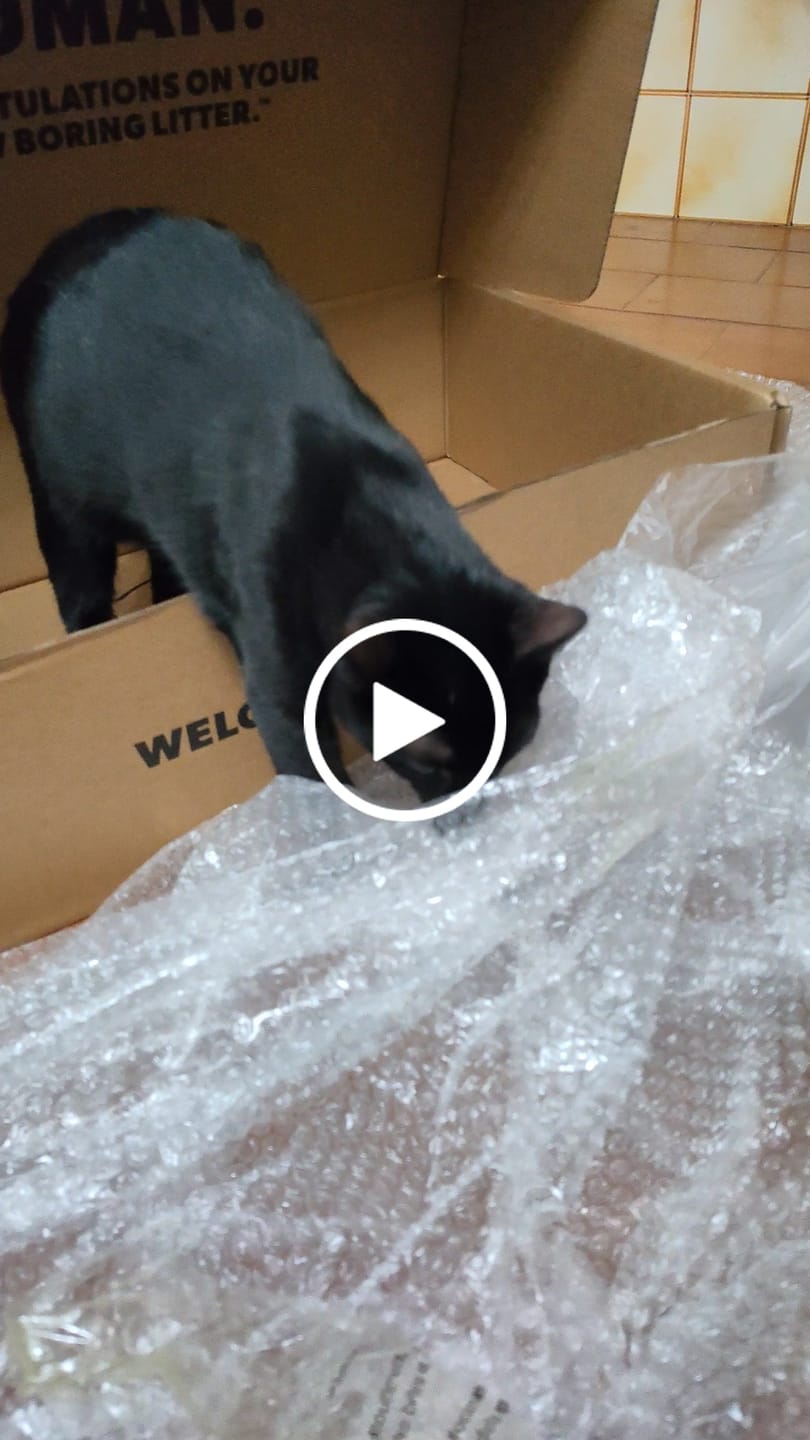 Customer video review of BORING LITTER - Lettiera in Acciaio INOX