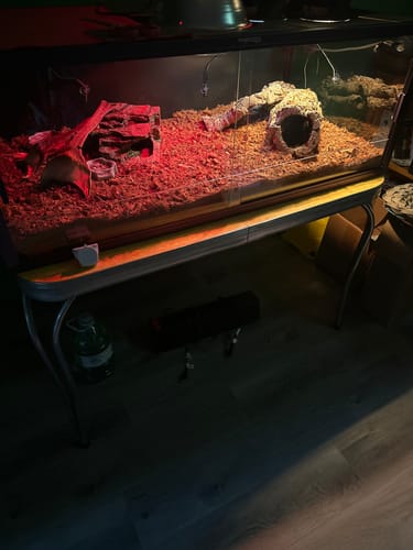 Customer photo review of 85 Gallon Snake Enclosure 48''x24''x18''