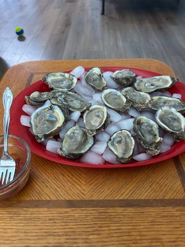 Customer photo review of The OysterClamp 2.0