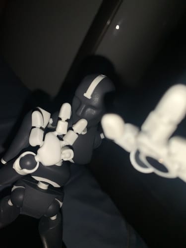 Customer photo review of Synergy Bundle