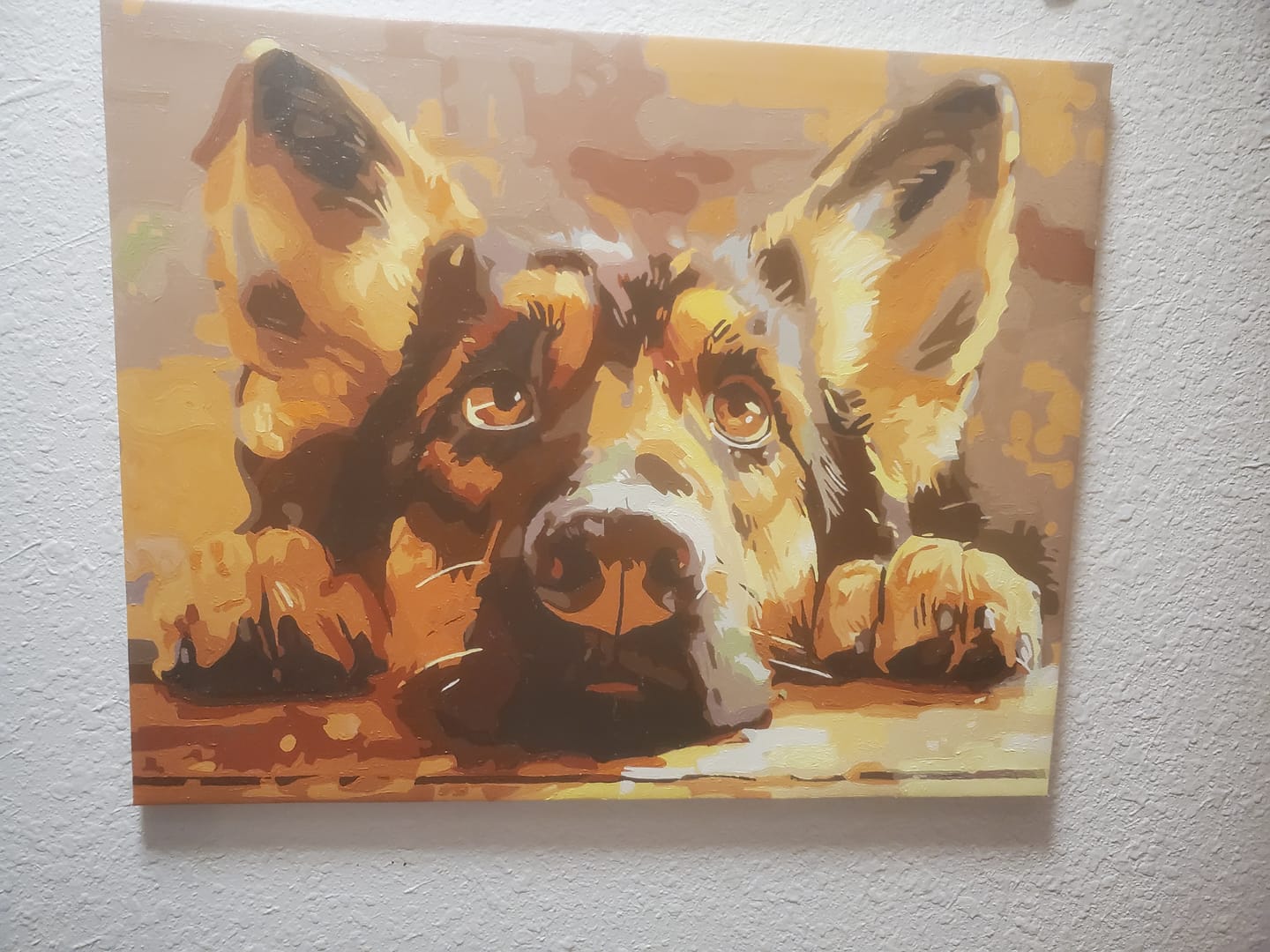 Customer photo review of Bored Shepherd