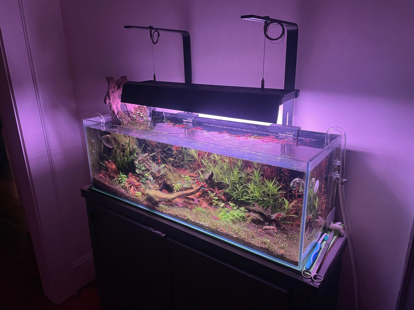 Customer photo review of Chihiros LED Lights Small Hanging Stand Kit