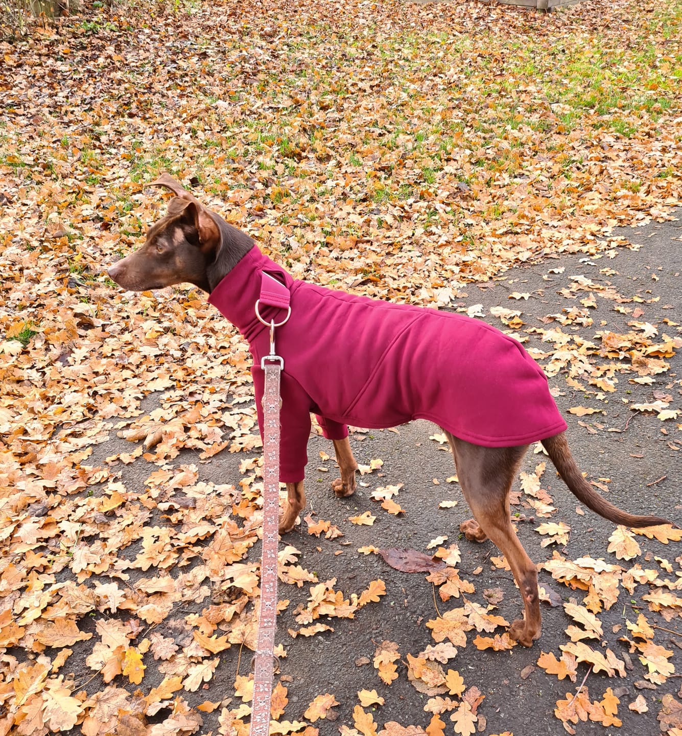 Customer photo review of Aspen "Bordeaux"