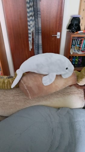 Customer photo review of Dugong Sea Cow Soft Stuffed Plush Toy
