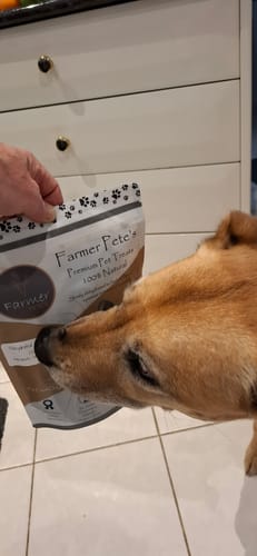 Customer photo review of Dehydrated Pilchards