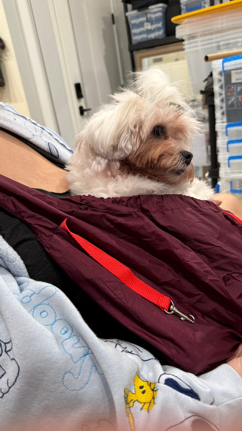 Customer photo review of NEW!  Nylon Packable Messenger Pouch Carrier