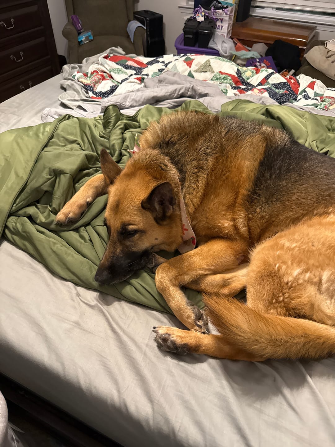 Customer photo review of The Ice Blanket
