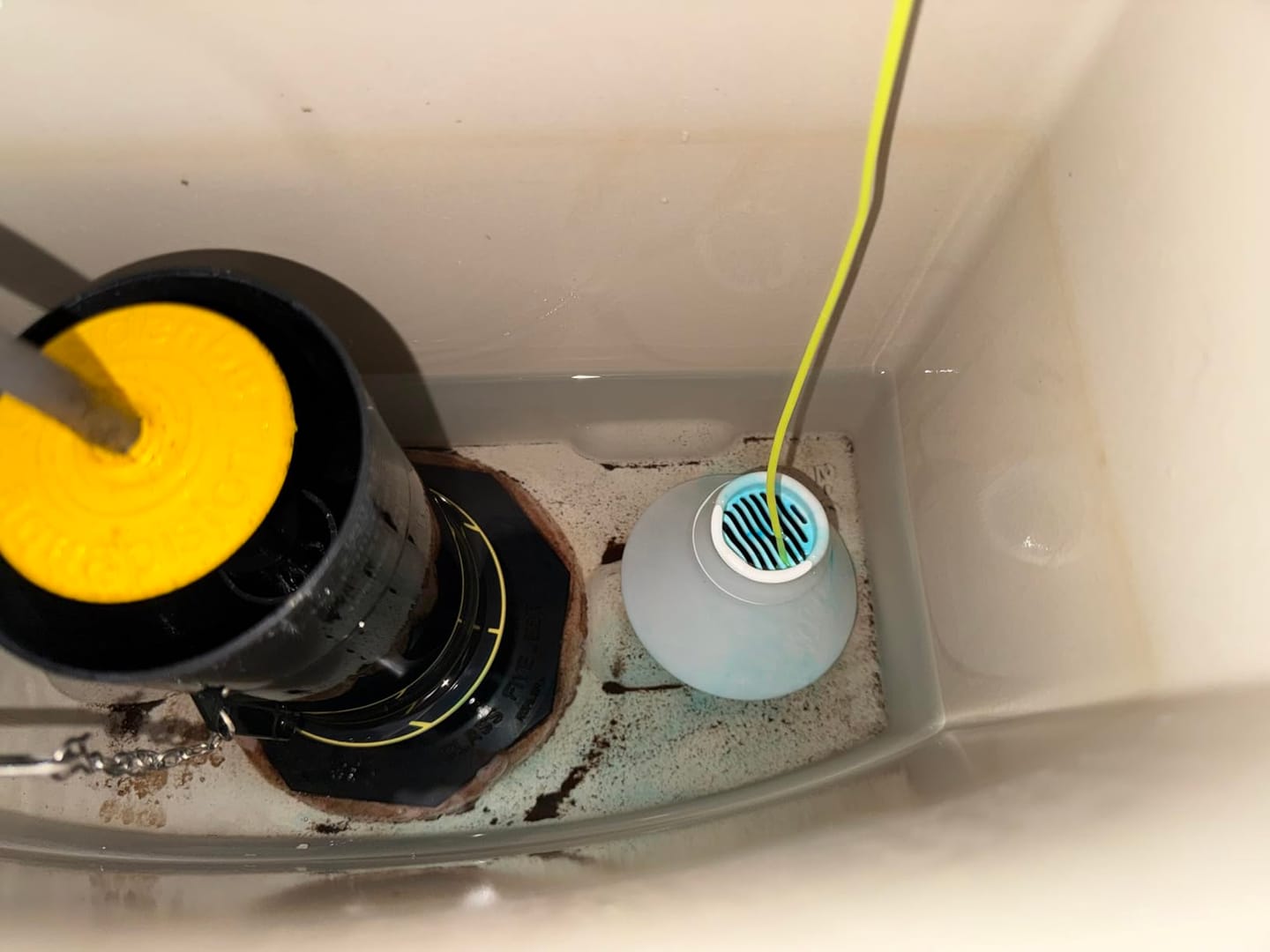 Customer photo review of Cecebear Ultra-Long Lasting Toilet Bowl Cleaner, Septic-Safe (3 Packs)