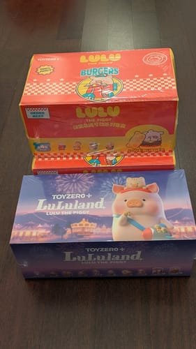 Customer photo review of Lulu The Piggy Lululand Series Blind Box