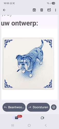 Customer photo review of Gepersonaliseerd Delfts Blauw Tegeltje – Upload Huisdier Foto