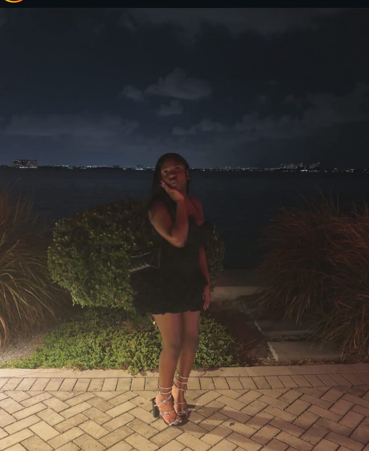 Customer photo review of Neveah Mini Dress