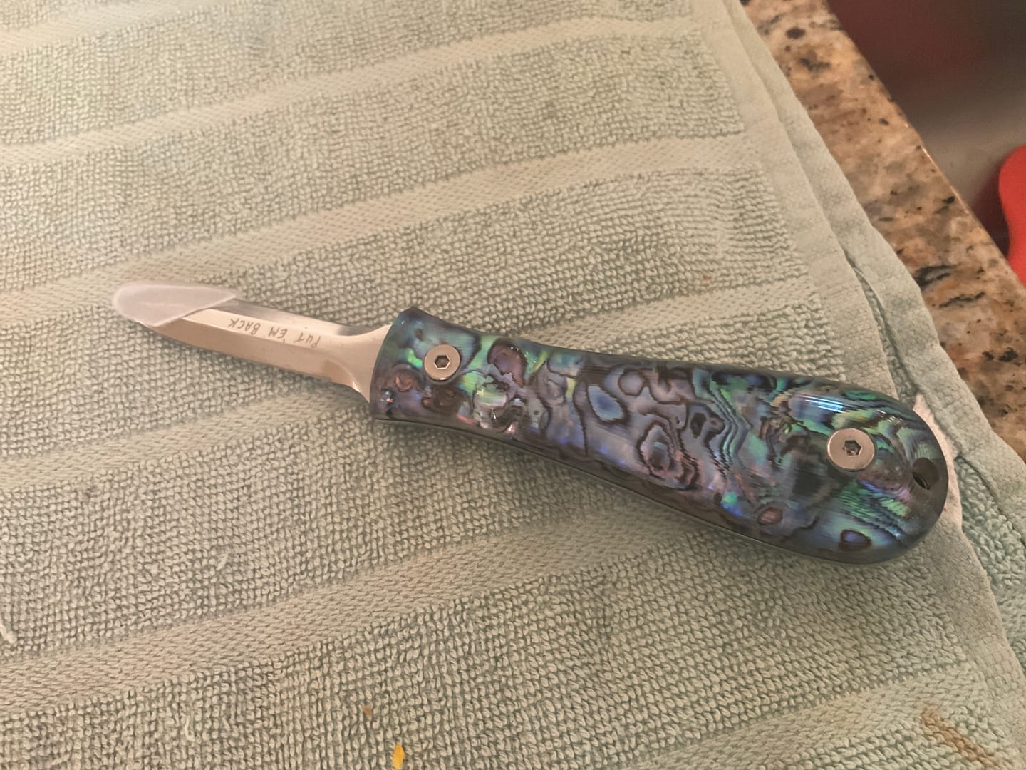 Customer photo review of Abalone Oyster Knife