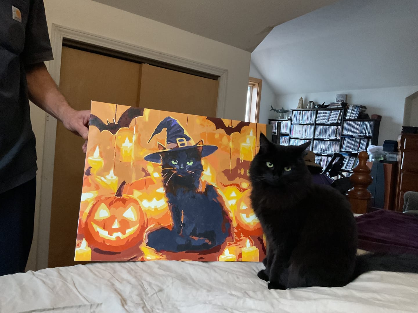 Customer photo review of Cat's Spell