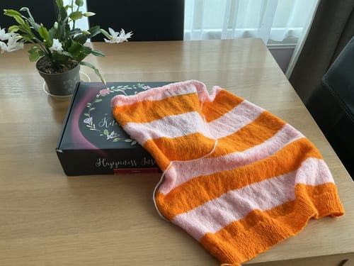 Customer photo review of Ladies Mystery Knitting Box