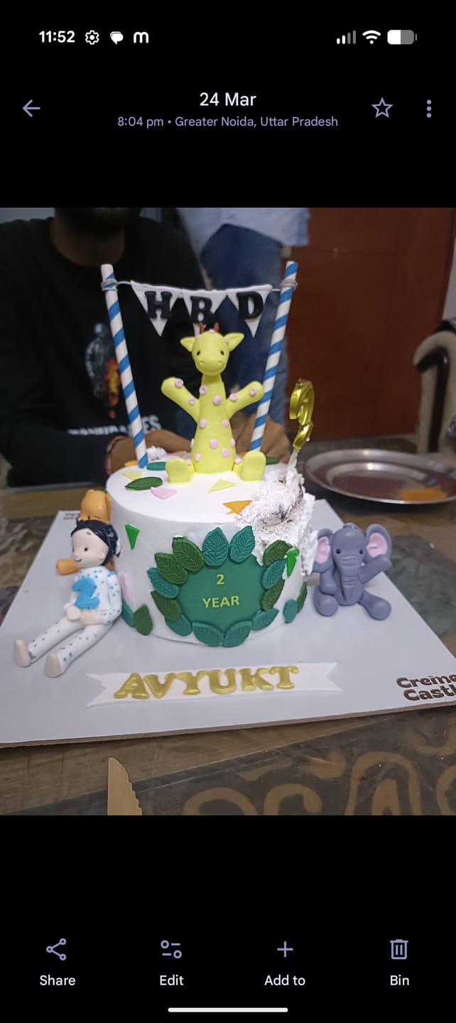 Customer photo review of Animal Party Birthday Cake