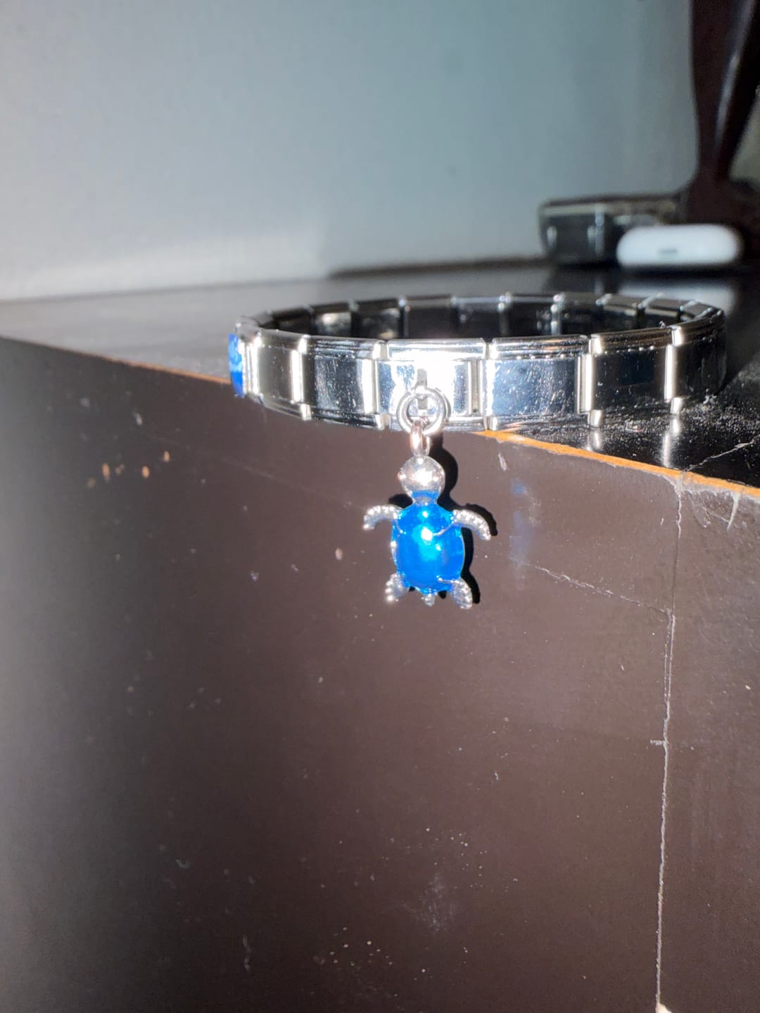 Customer photo review of Charm Tortuga
