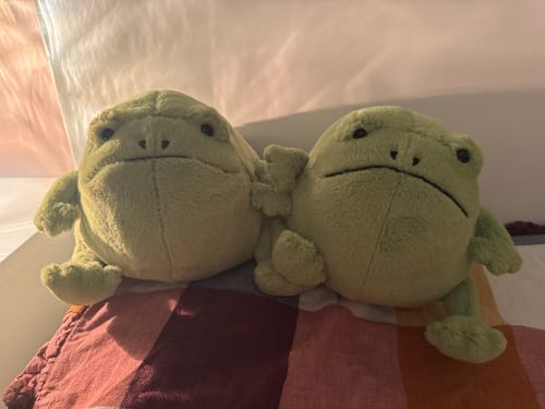 Customer photo review of Ricky Rain Frog | Jellycat