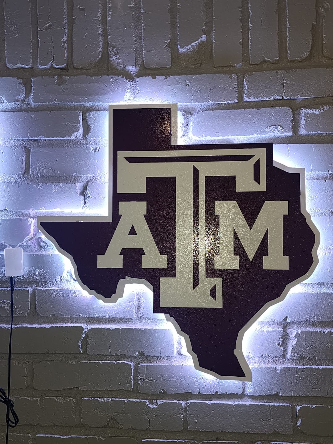 Customer photo review of Texas A&M 3D Vintage Metal Wall Art White on State of Texas