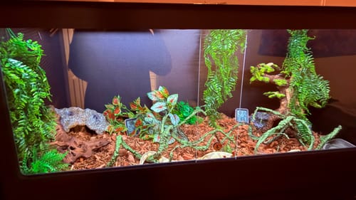 Customer photo review of XT4 BIO24 (48Lx24Dx24H) - STACKABLE