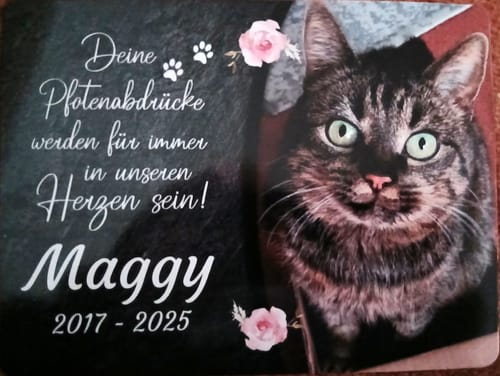 Customer photo review of Katzen Gedenktafel mit Foto & Spruch (UV- & Wetterfest)