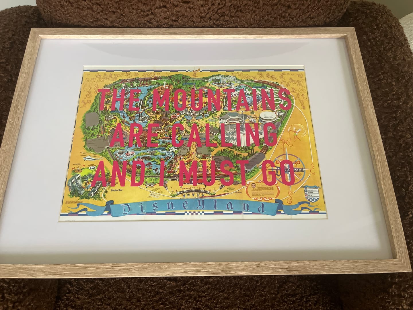Customer photo review of Disneyland California Retro Pop Art Theme Park Map Print