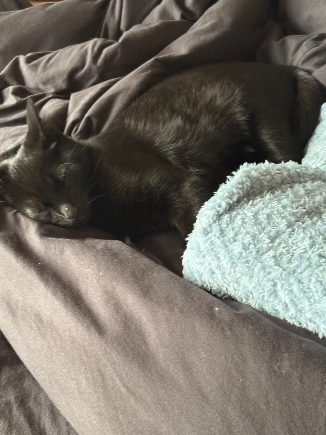 Customer photo review of Duvet Cover Set - Deep Charcoal