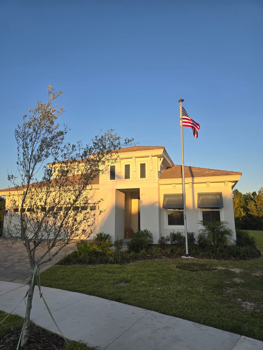 Customer photo review of Ultra Heavy-Duty Home Flagpole