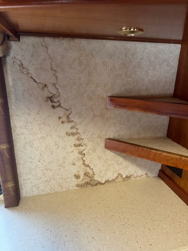 Customer photo review of Green Mitt Kit