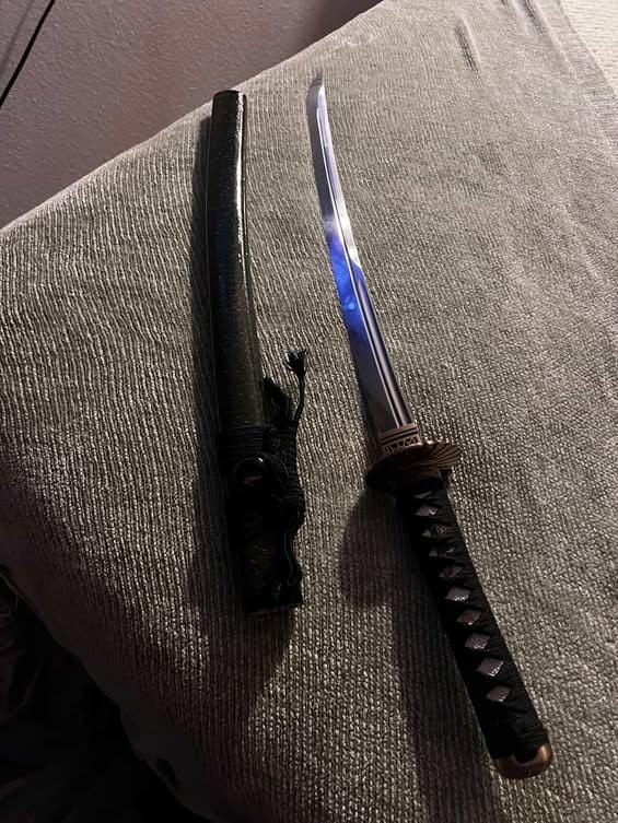 Customer photo review of The Midori Uroko Handmade Katana Wakizashi Clay Tempered T10 Steel
