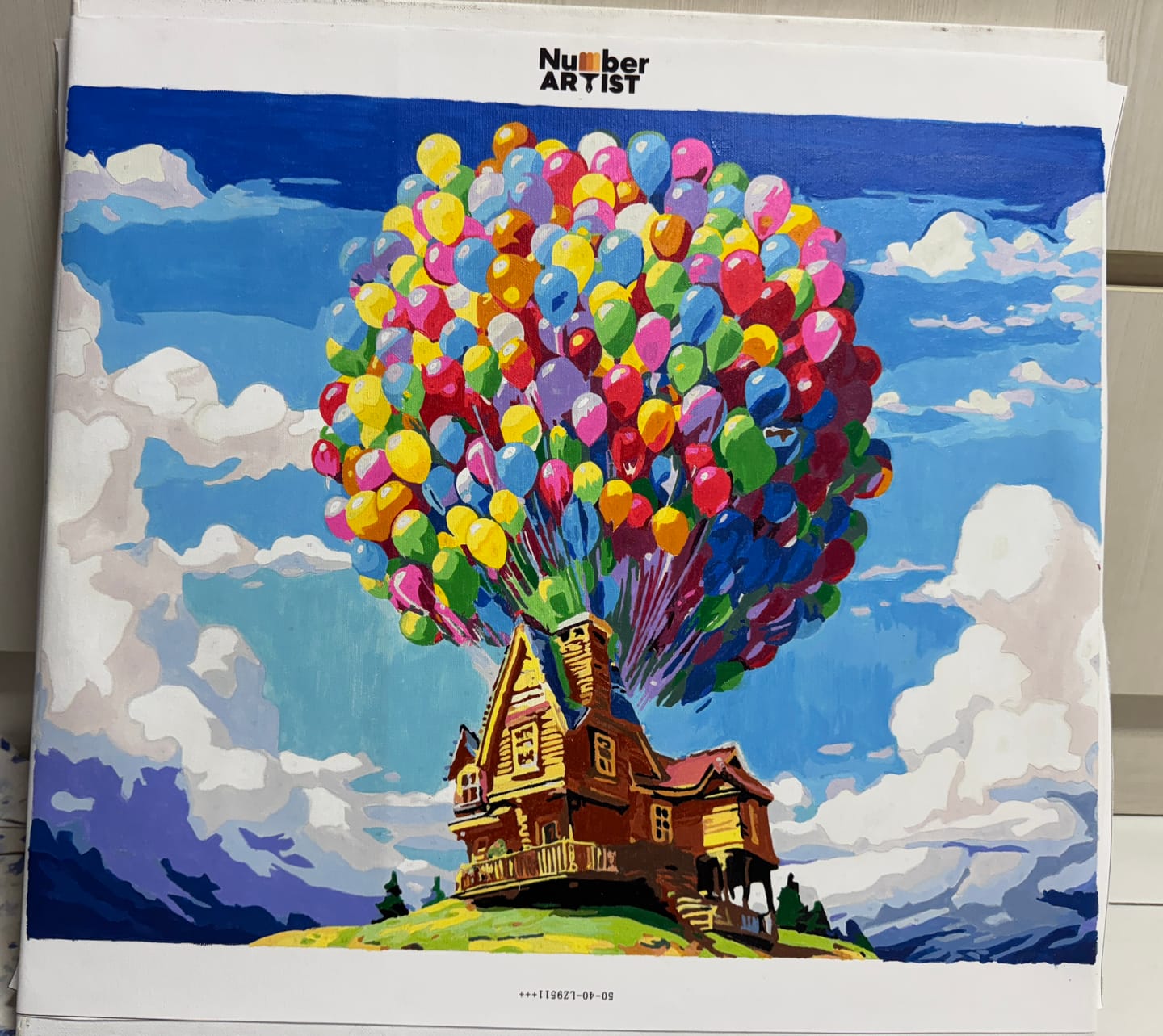Customer photo review of House in the Skies