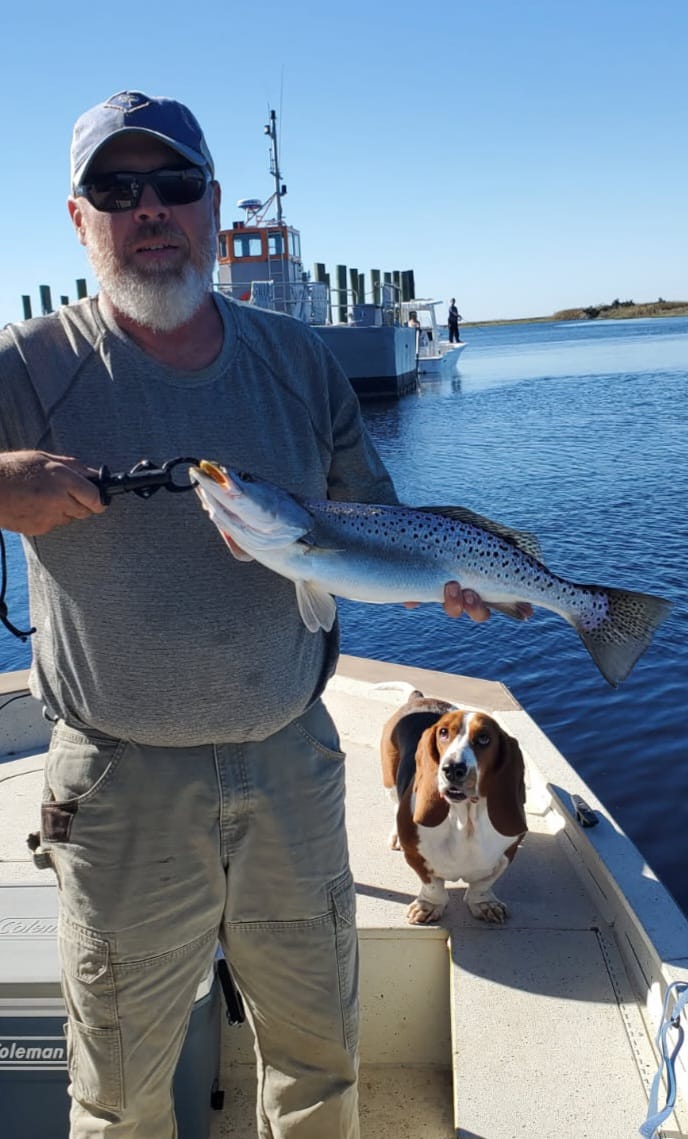 Customer photo review of 200% Sensitive Tungsten Weedless Ball Jig Head | Bulk Pack