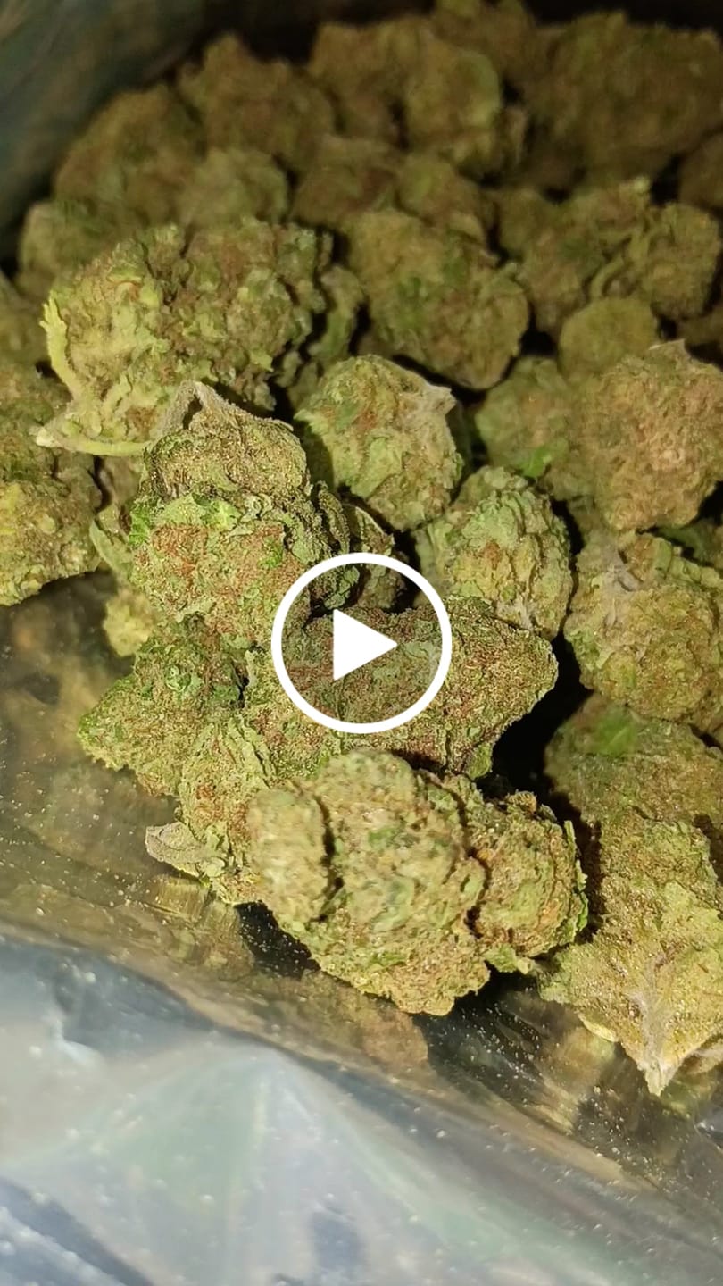 Customer video review of Gush Mintz Light Assist THCA
