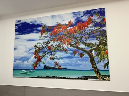 Customer photo review of Alu-Dibond Bild | Rote Blüten und Türkisfarbenes Meer | Querformat