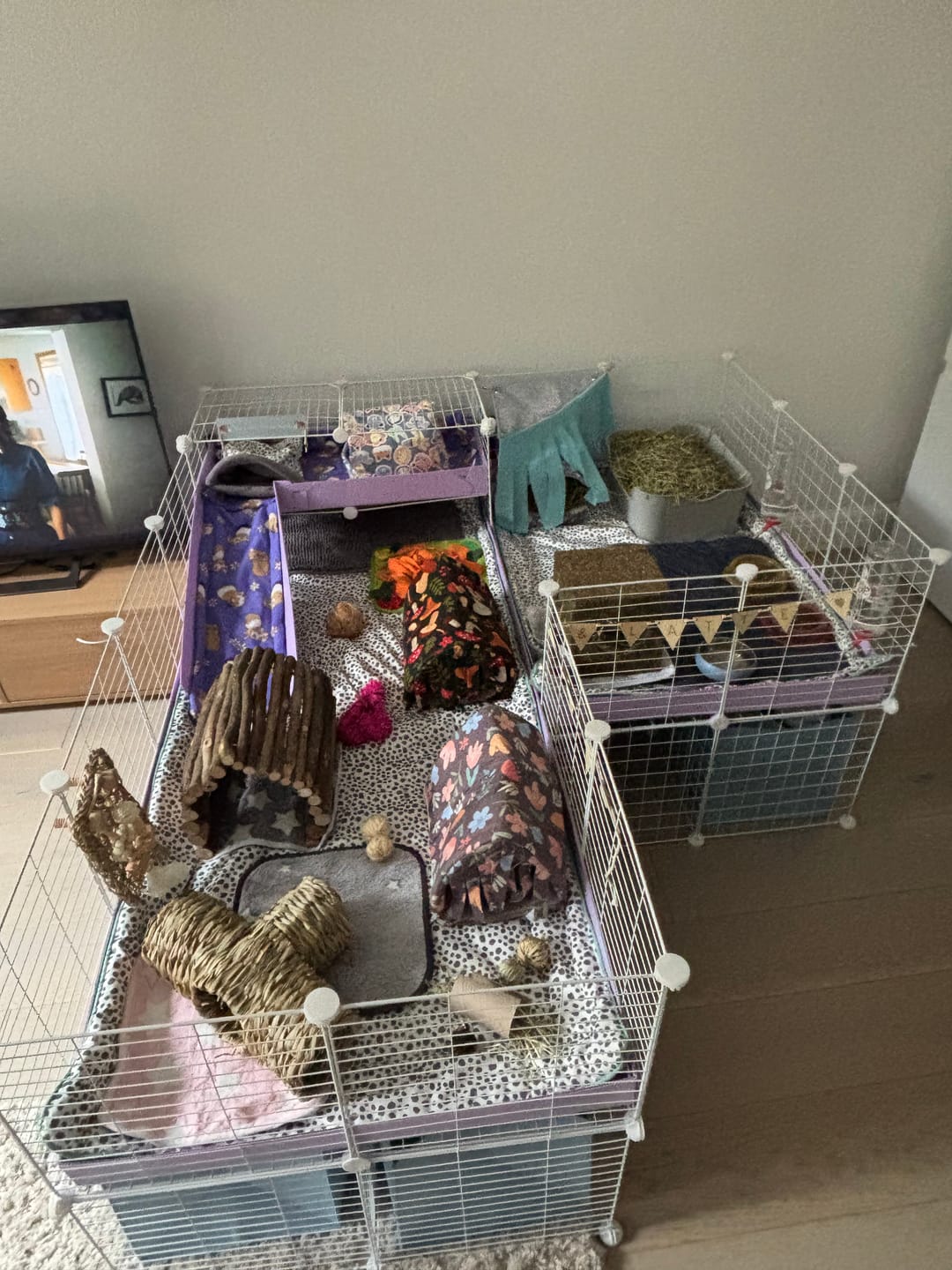 Customer photo review of 5x2 C&C Cage with Stand