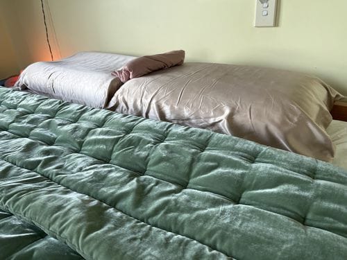 Customer photo review of Champagne Silk Pillowcase - Queen Size, Zip Closure