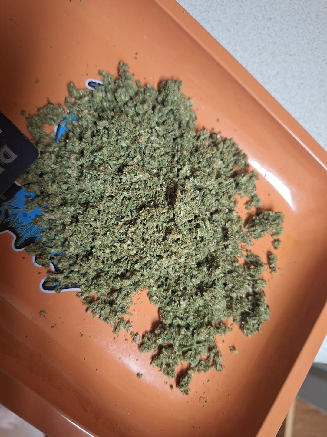 Customer photo review of Exotic Shake
