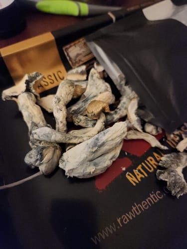 Customer photo review of Magic Mushrooms