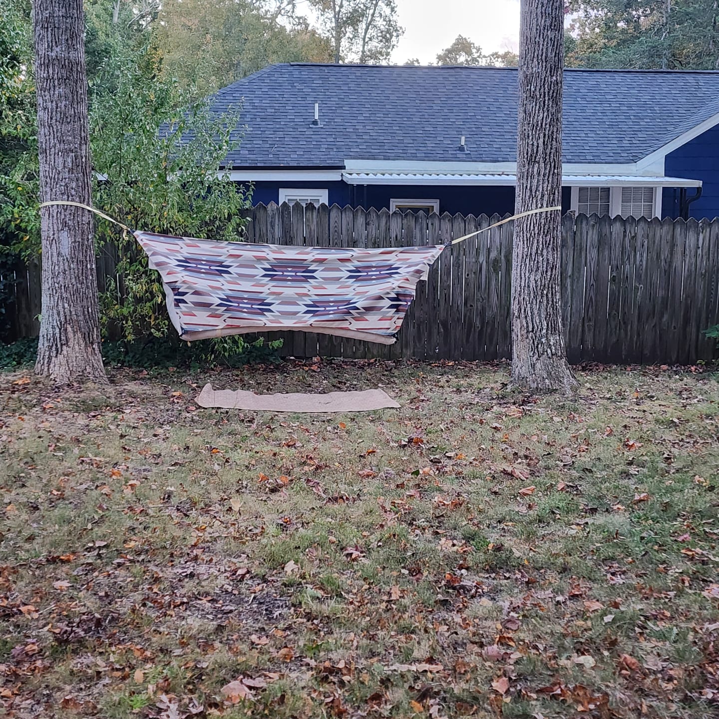 Customer photo review of Haven Safari