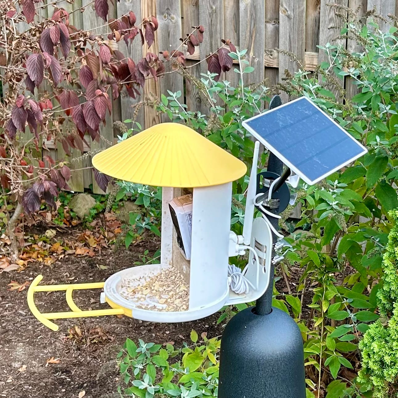 Customer photo review of Birdfy Solar Panel (Type C) - Bird Feeder Camera Solar Panel