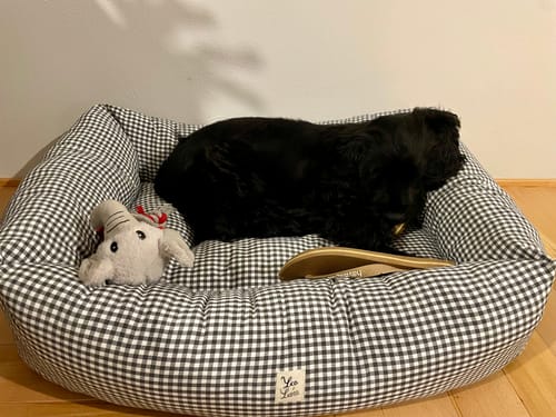 Customer photo review of Divanetto Cotone Vichy Grigio Scuro