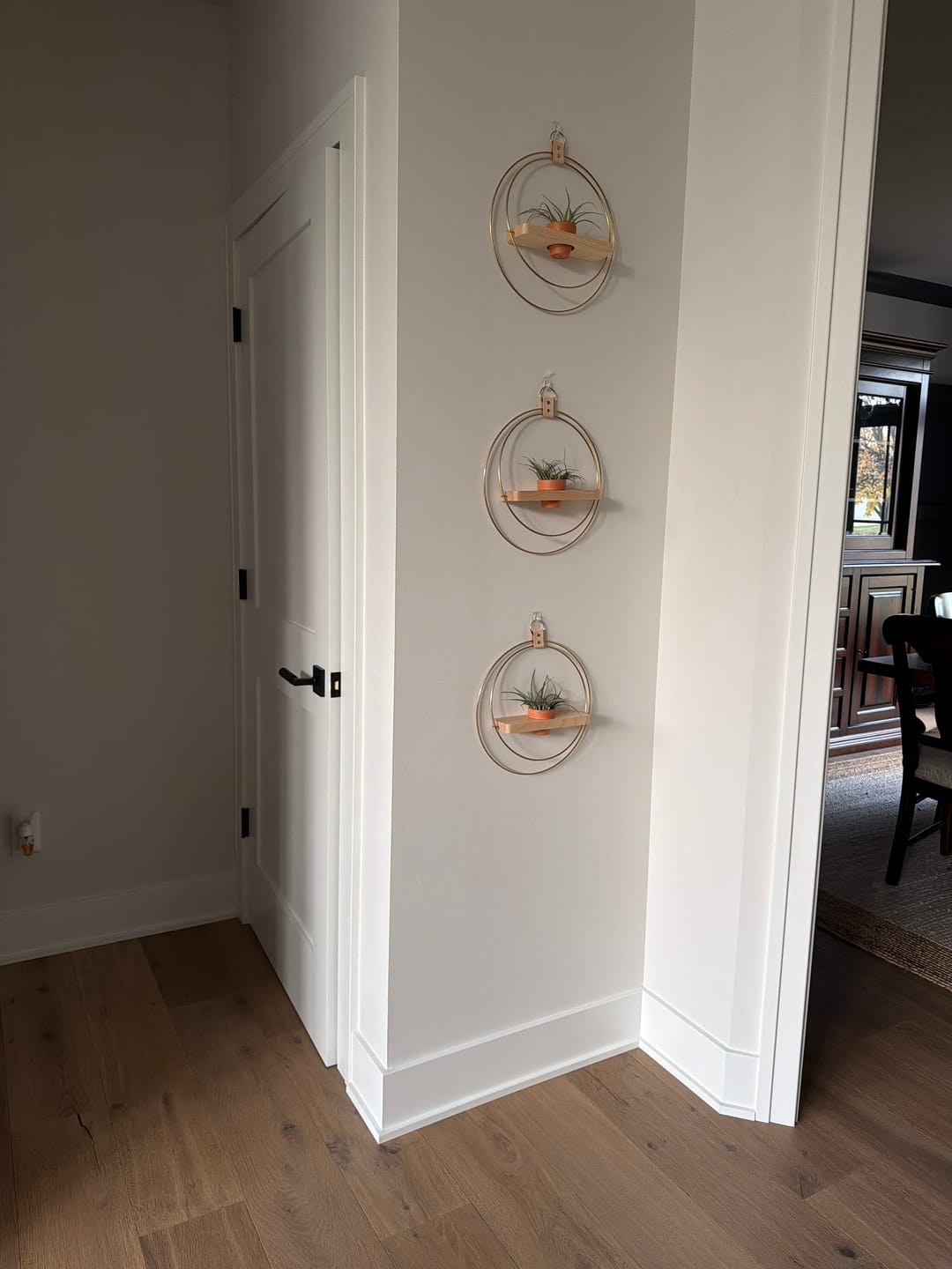 Customer photo review of Air Plant Shelf + Pot Trio