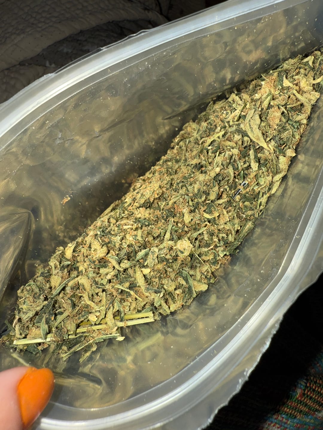 Customer photo review of Exotic Shake
