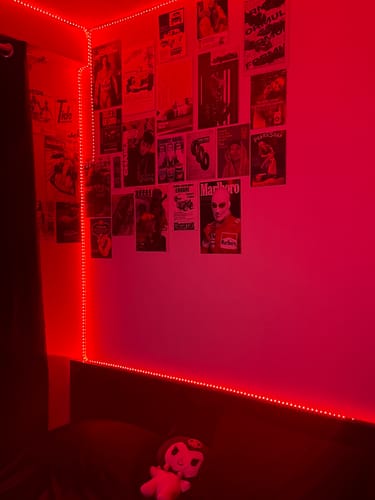 Customer photo review of FORMULA 1 WALL COLLAGE POSTERS