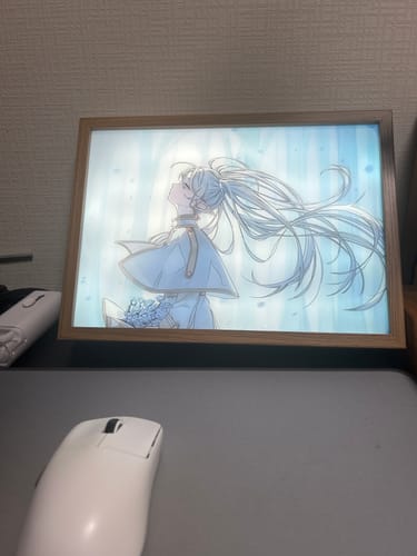 Customer photo review of Anime Acrylic Panel – For Light Painting