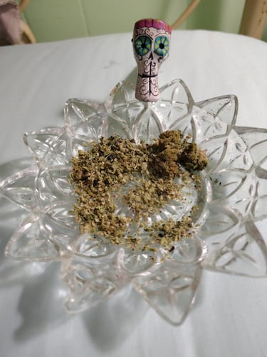 Customer photo review of Blue Dream