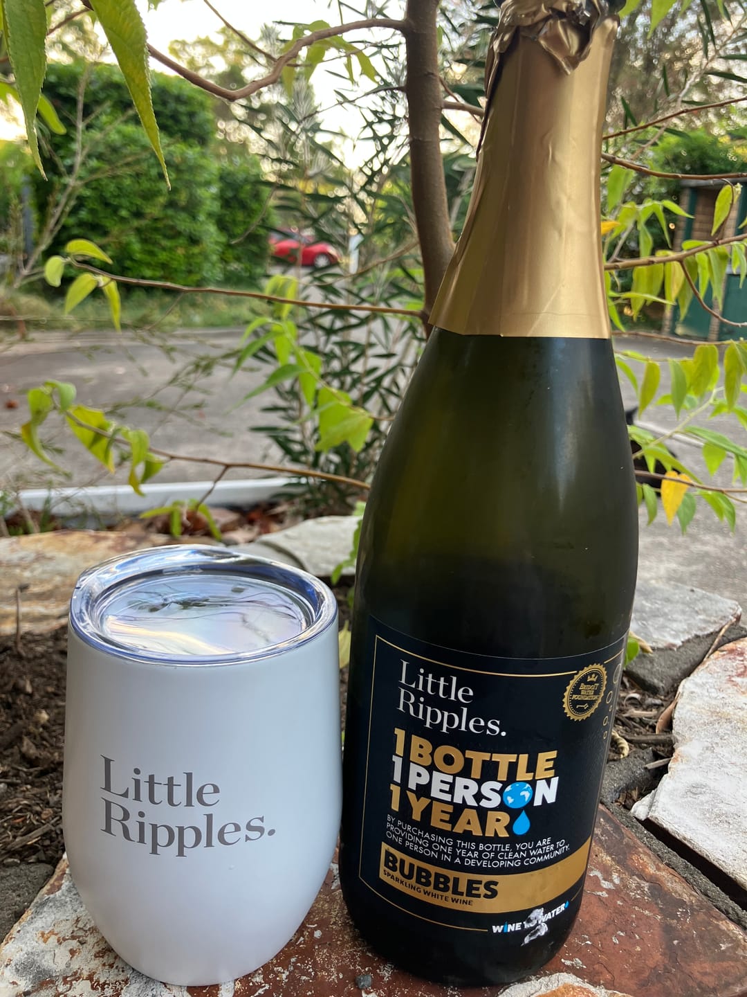 Customer photo review of Sparkling - 6pk