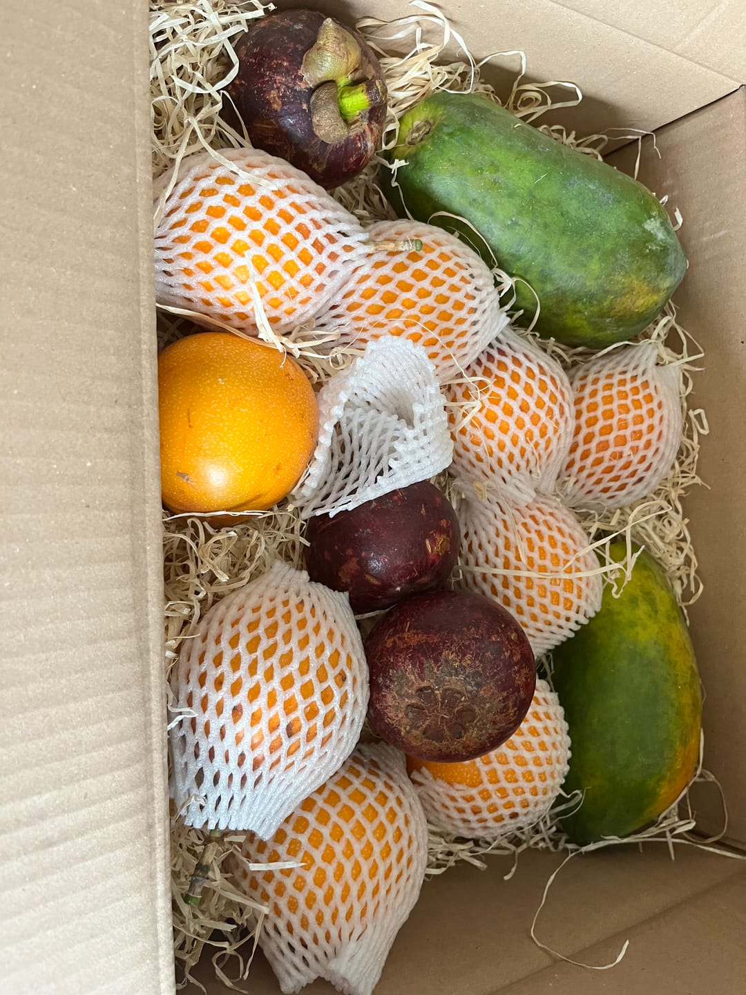 Customer photo review of Papaya "Red Lady" reifgeerntet